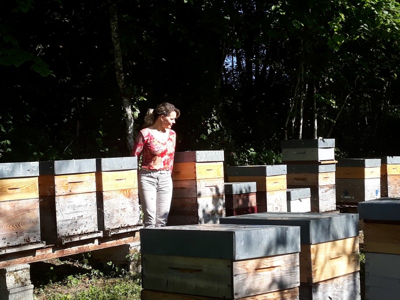 Dans le rucher, Nathalie veille sur ses "filles".